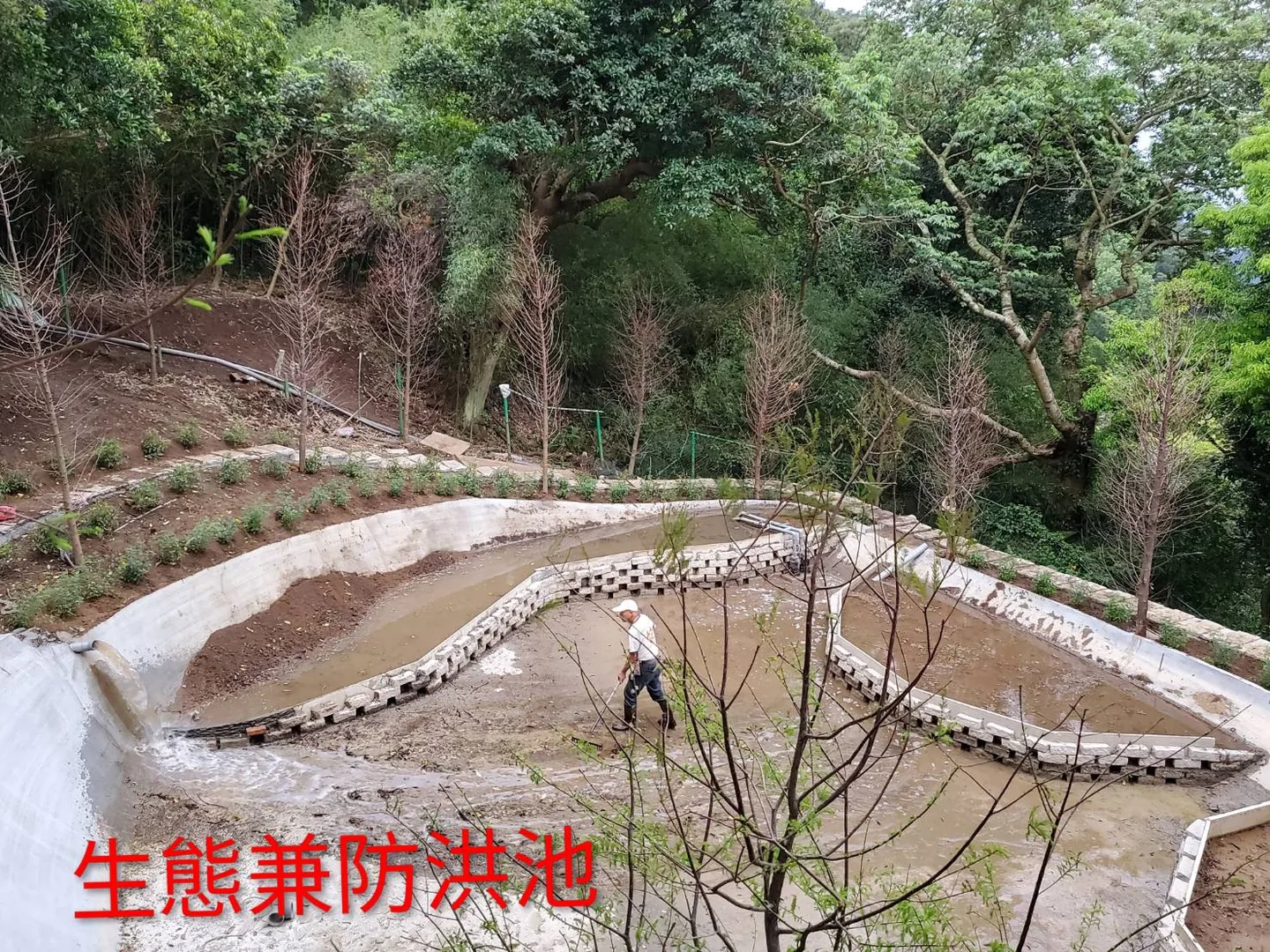 生態兼防洪池施工 「生態兼防洪池」施工現場,混凝土池體與階梯狀護坡已成形,機具正在整平池底