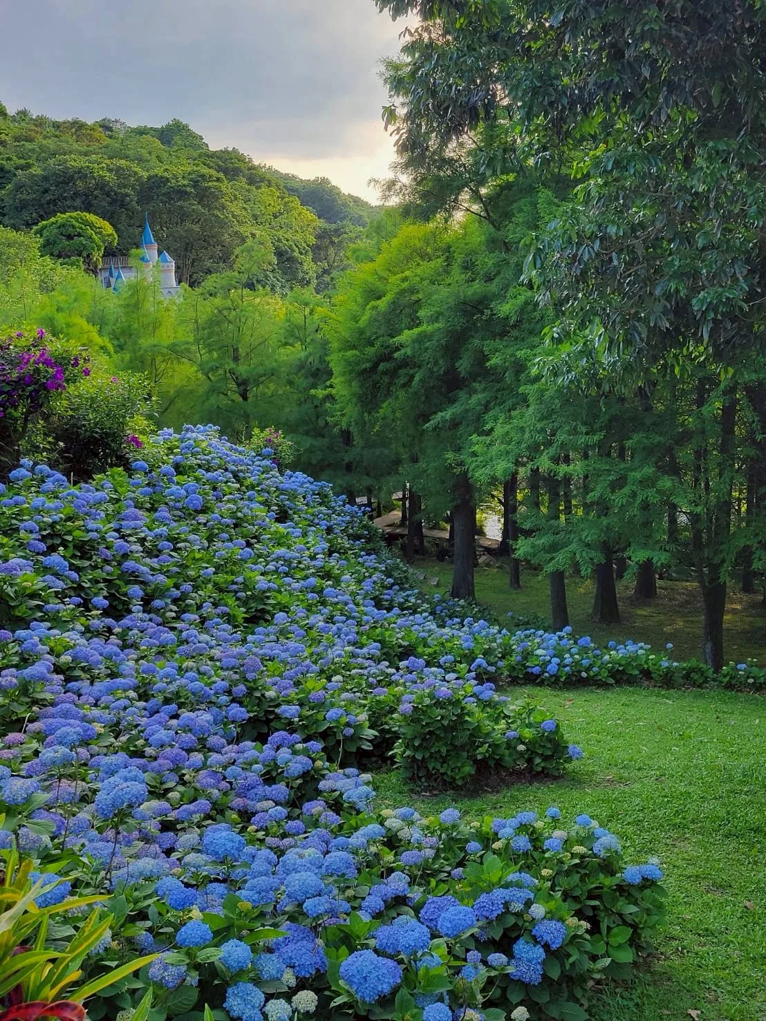 真愛桃花源戀戀南歐3D戶外景
