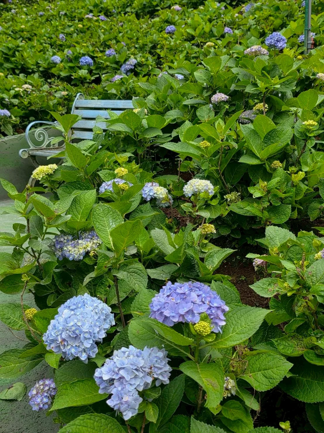 真愛桃花源婚紗場地全景