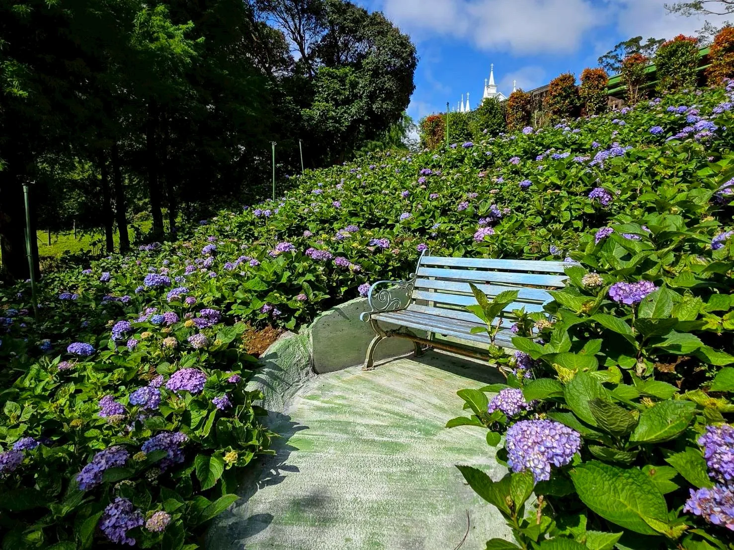 庭園景觀餐廳 台北士林庭園空間 庭園景觀餐廳 - 真愛桃花源活動服務
