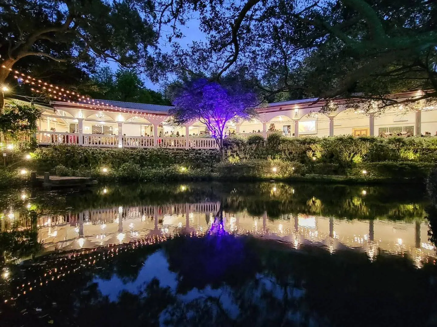 真愛桃花源夜間湖畔實景,歐式長廊建築暖光與紫色樹燈完整倒映湖面——晚宴與夜間活動的場地氛圍